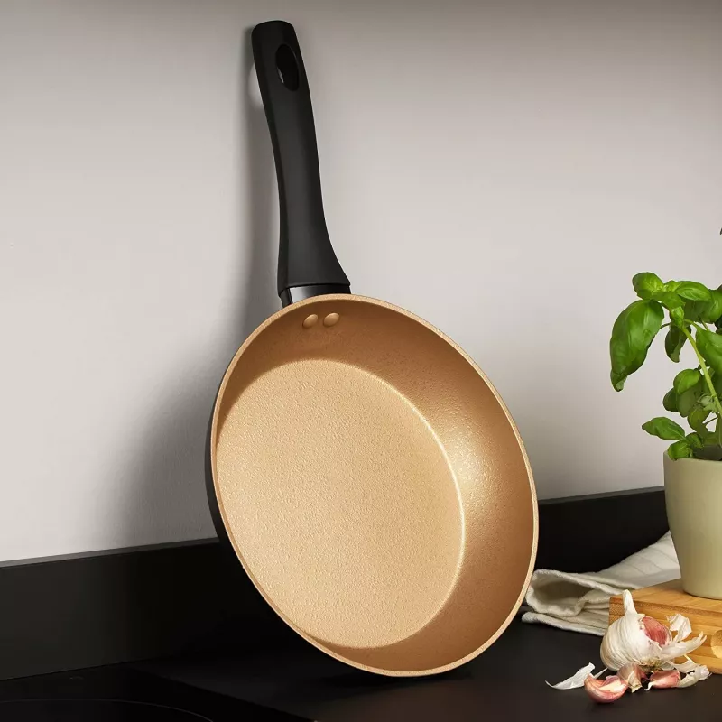 Pann Russell Hobbs RH01666BEU7 24 cm, mittenakkuv, must