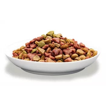 Kuiv kassitoit PREVITAL Adult veiselihaga 1,4 kg — 30% valku, 12% rasva, 3% kiudaineid