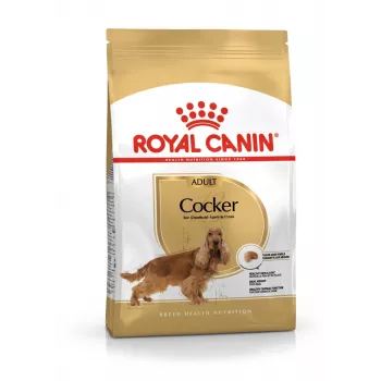 Royal Canin Cocker Adult kuiv koeratoit 12 kg — linnuliha, 25% valku, 14% rasva