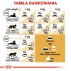 Kuiv kassitoit Royal Canin Sphynx Adult 2 kg — sealiha maitse, 33% valku, 23% rasva