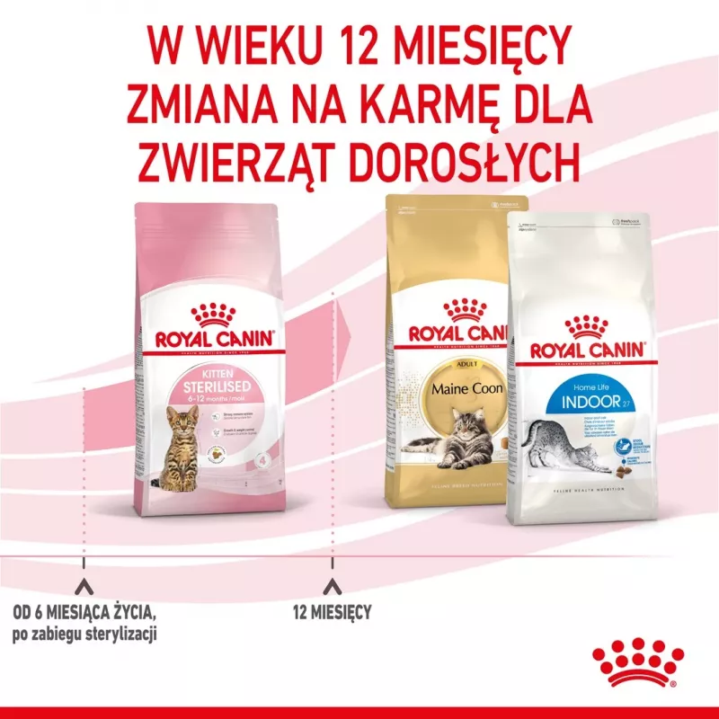 Kuiv kassitoit Royal Canin Kitten Sterilised 3,5 kg — linnuliha, 34% valku, 12% rasva