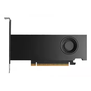Graafikakaart NVIDIA RTX PRO 2000 16 GB GDDR7