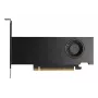 Graafikakaart NVIDIA RTX PRO 2000 16 GB GDDR7