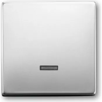 Busch Jaeger 6543-866-101 Silver (6599-0-2926)