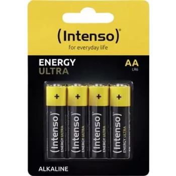 Intenso 7501424 aku