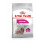 Kuiv koeratoit Royal Canin Mini Exigent 1 kg — väikeste tõugude vanematele koertele, 30% valku, 22% rasva
