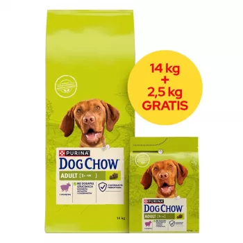 PURINA Dog Chow Adult Lamb - kuiv koeratoit - 14 + 2,5 kg