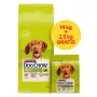 PURINA Dog Chow Adult Lamb - kuiv koeratoit - 14 + 2,5 kg