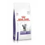 Kuiv kassitoit Royal Canin Dental 1,5 kg — täiskasvanud linnuliha maitsega, 29% valku, hambahooldus