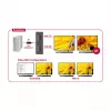Video Splitter DeLOCK 87696 Mini DisplayPort kuni 2x HDMI