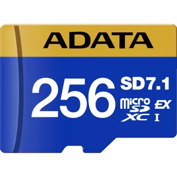ADATA UD256GEX3L1-C mälukaart 256 GB MicroSDXC UHS-II