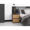 Topeshop W2 ANTRACYT/ARTISAN nightstand/Öökapp 2 sahtel(s) antratsiit, tamm