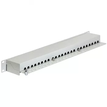 Patch-paneel DeLOCK 43300 1U RJ-45 Hall