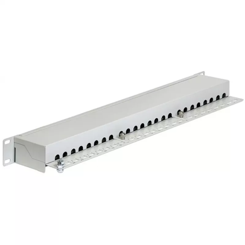 Patch-paneel DeLOCK 43300 1U RJ-45 Hall