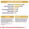 Kuiv kassitoit Royal Canin Persian 4 kg — täiskasvanud pärsia, kana, 30% valku, 22% rasva