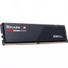 G.skill F5-6400J3239F24GX2-RS5K mälumoodul