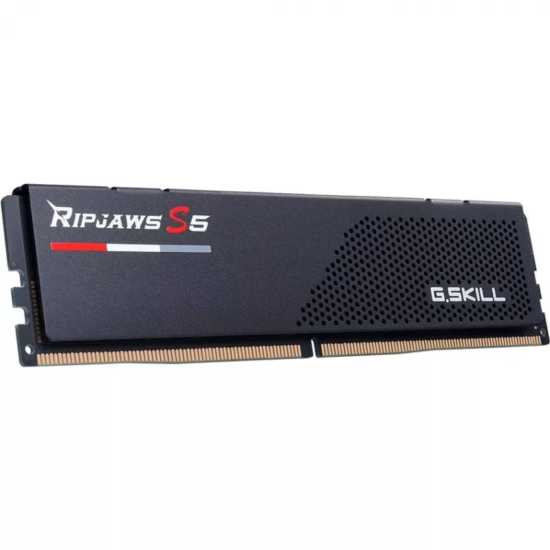 G.skill F5-6400J3239F24GX2-RS5K mälumoodul