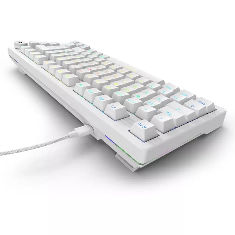 Sharkoon SGK25 75% QWERTZ USB juhtmega RGB LED klaviatuur, valge