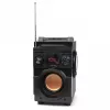 Squeak Bassblaster Bluetooth 5.1 kõlar, FM-raadio, MP3-mängija SQ1001