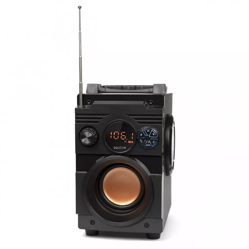 Squeak Bassblaster Bluetooth 5.1 kõlar, FM-raadio, MP3-mängija SQ1001