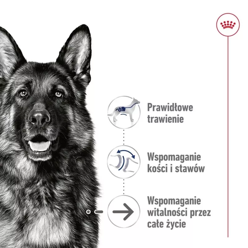ROYAL CANIN SHN Maxi Ageing Loaf Can 410g