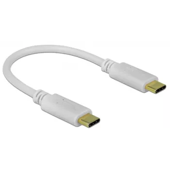 Delock - USB-C / toitekaabel - 24-kontaktiline USB-C (M) kuni 24-kontaktiline USB-C (M) - 5 A - 15cm - USB-toiteallikas (100 W), toetab Power Delivery 2,0 - Valge (85357)