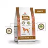PUPIL Premium Insects - kuivtoit koertele - 12 kg