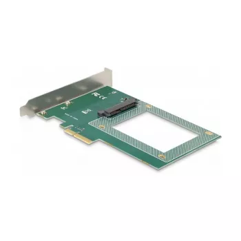 DeLOCK PCI Express x4 kaart 1 x sisemine U.2 NVMe SFF-8639