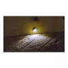 Synergy 21 S21-LED-L00024 sise-/välistingimustesse sobiv süvistatav valgustuspunkt 0,6 W must - hõbedane valguspunkt