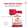Kuiv koeratoit Royal Canin SHN Medium Adult 15 kg — täisväärtuslik toit täiskasvanud keskmist tõugu koertele, linnuliha, 25% valku, 14% rasva