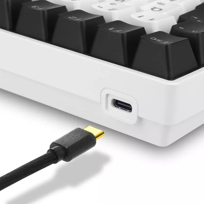 Sharkoon SKILLER SGK50 S3 klaviatuur mängimiseks USB QWERTY Portugali valge