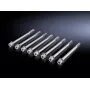 Kruvi Rittal SV 9676.812 M10, pikkus 120 mm, 8 tk pakend
