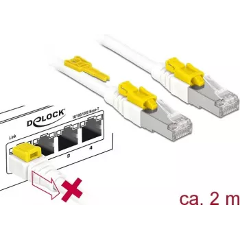 Võrgukaabel DeLOCK 85332 RJ-45 Cat6a 2 m Valge