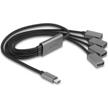 DeLOCK 64210 USB 2.0 USB-C Hub 480 Mbit/s Must Hall