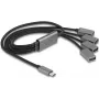 DeLOCK 64210 USB 2.0 USB-C Hub 480 Mbit/s Must Hall