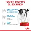 ROYAL CANIN SHN Mini Puppy kastmes - märg kutsikatoit - 12X85g