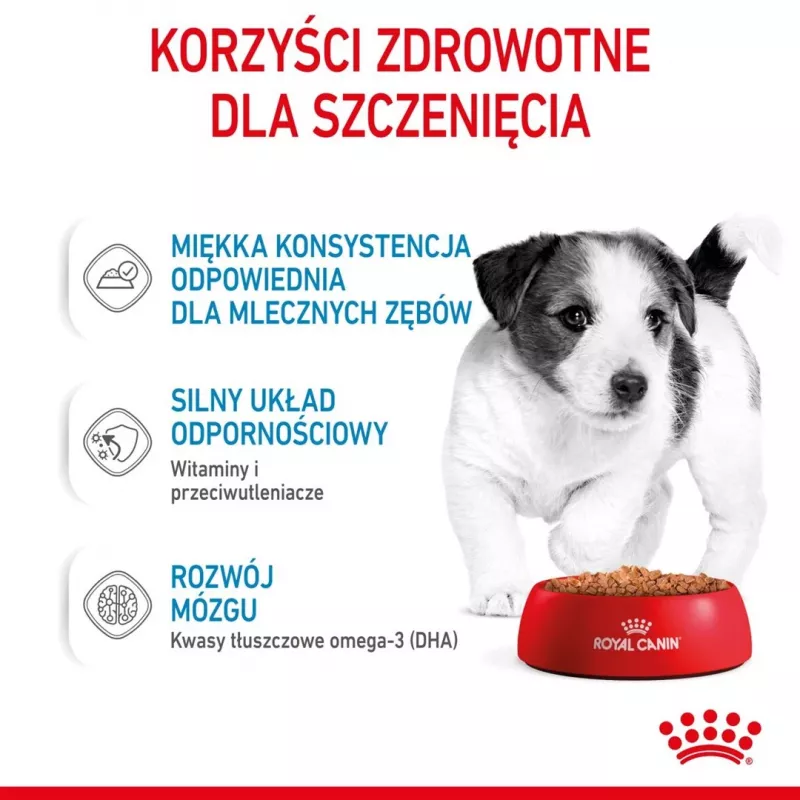 ROYAL CANIN SHN Mini Puppy kastmes - märg kutsikatoit - 12X85g