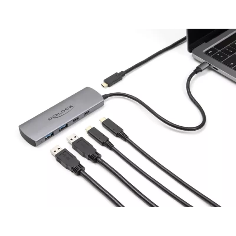 USB Hub DeLOCK 64299
