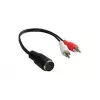 Alcasa AD-2CS5B Audio-Cable 0,2 m 2 x RCA DIN (5-pin) Must - Red - valge (AD-2CS5B)