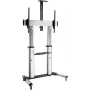ROLINE Alus LCD-ekraanile - hõbedane - Ekraani suurus: 152,4-254 cm (60-100)