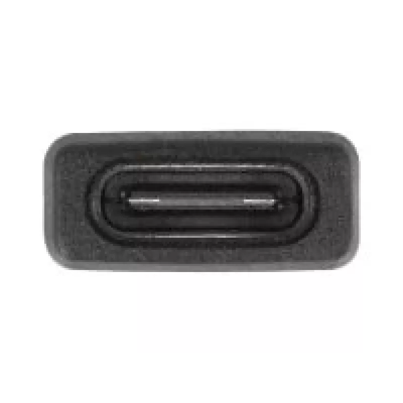 DeLOCK 60001 kaabli soomuundur USB A USB C must