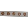 RFID NFC turvasilt SCOT NTAG213 18 mm läbipaistev, 10 tk pakend