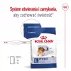 Royal Canin Maxi Adult kuivtoit koertele, 15 kg