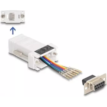 DeLOCK 67078 kaabli soovaheti D-Sub 9 RJ12 valge