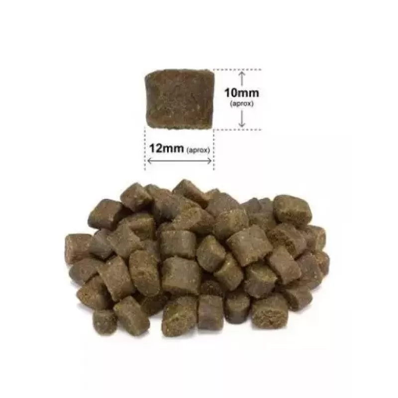 ARQUIVET Fresh Iberian Pork and fish - poolniiske koeratoit - 2,5kg