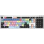 Klaviatuur Logickeyboard LKB-PPROCC-AJPU-UK Office USB QWERTY UK English Mitmevärviline