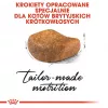 Royal Canin British Shorthair Adult kasside kuivtoit 4 kg