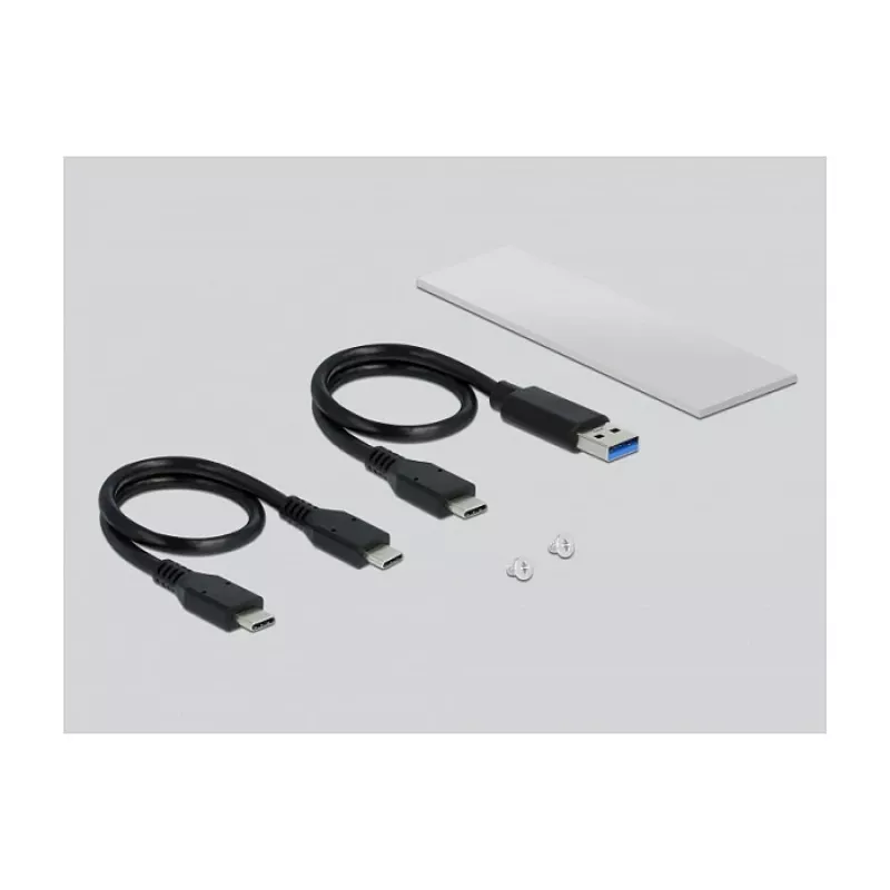 SSD korpus DeLOCK 42634 hõbedane M.2