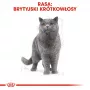 Märg kassitoit Royal Canin British Shorthair Adult kotike 85 g, linnuliha, ROYAL CANIN Feline Breed Nutrition