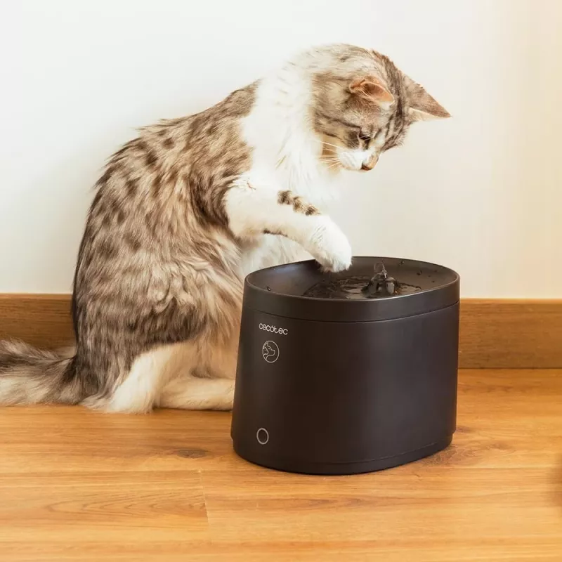 Lemmiklooma joogipurskkaev CECOTEC Pumba 2500 Refresh Smart Pet Fountain, mudel 9563